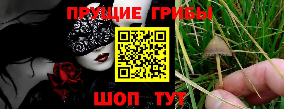 Псилоцибиновые грибы мицелий  Галлюциногенные грибы Cubensis  Хабаровск  Вход с VPN 